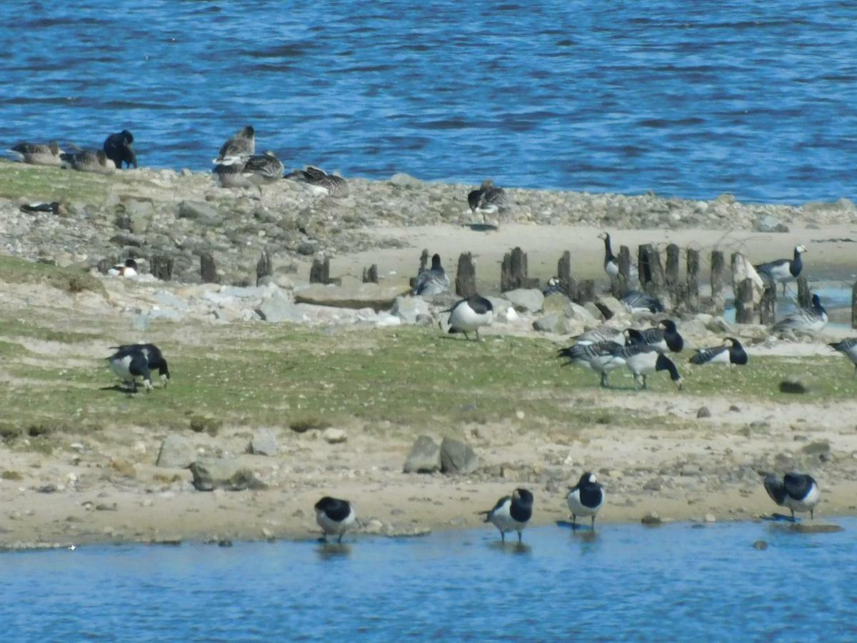 Nordsee Nordstrand Buitenkant foto